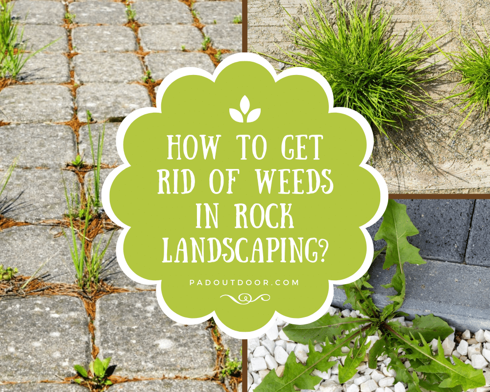 How To Get Rid Of Weeds In Rock Landscaping Pad Outdoor