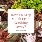 How To Keep Mulch From Washing Away (Best Tips)