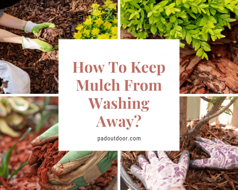 How To Keep Mulch From Washing Away (Best Tips) Pad Outdoor