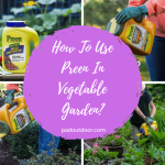 How To Use Preen In Vegetable Garden?