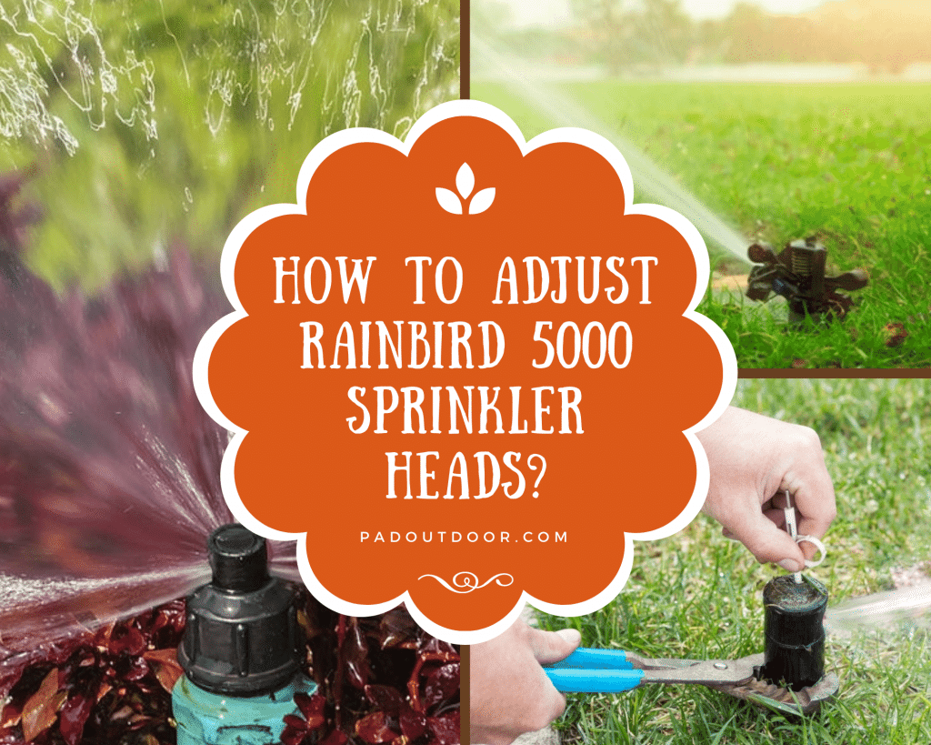 How To Adjust Rainbird 5000 Sprinkler Heads?