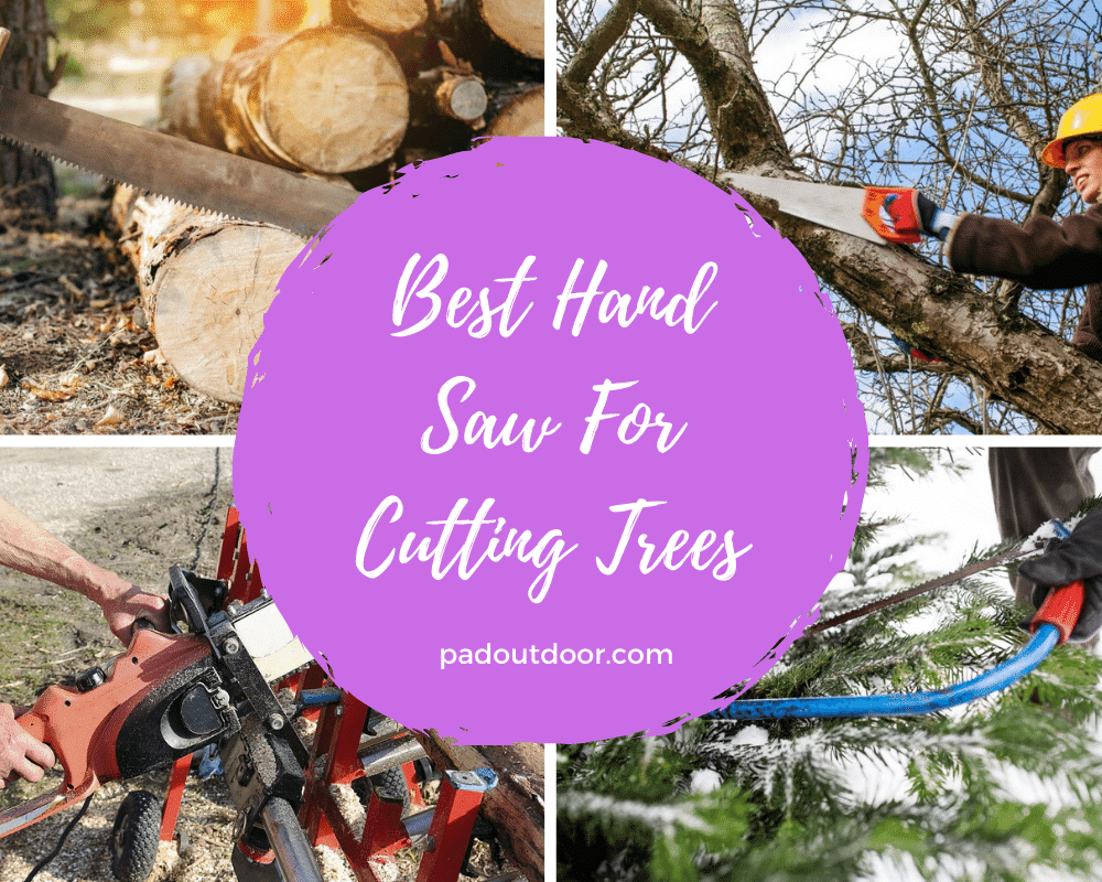 Best Hand Saw For Cutting Trees