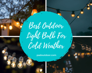 Best Outdoor Light Bulb For Cold Weather