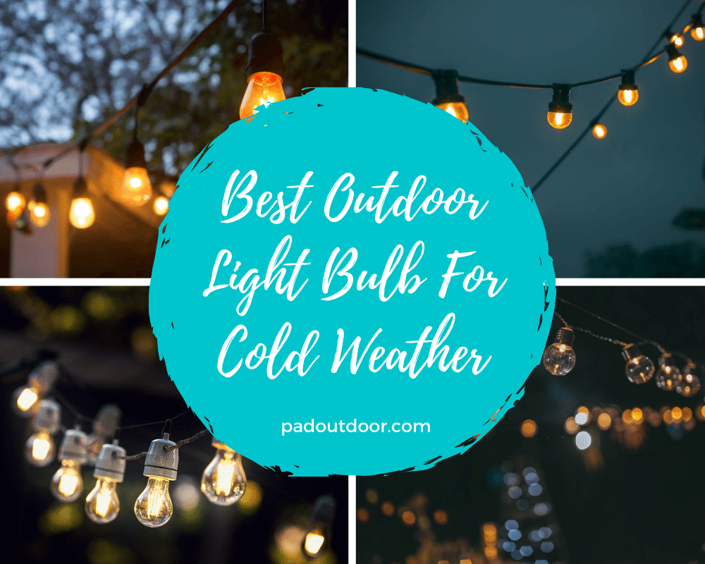 Best Outdoor Light Bulbs For Cold Weather
