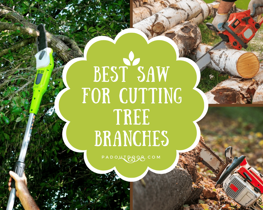 Best Saw For Cutting Tree Branches