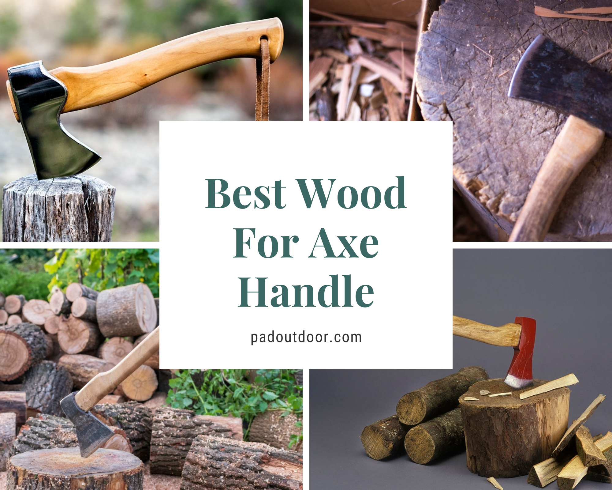 The Best Wood For Axe Handle (2022 Reviews)