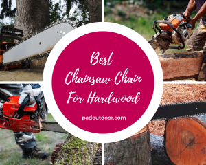Best Chainsaw Chain For Hardwood