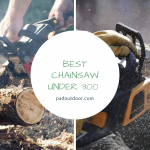 Best Chainsaw Under 300 Dollars (Review 2022)