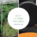 The Best Cloning Machines To Invest (Reviews & Guide)