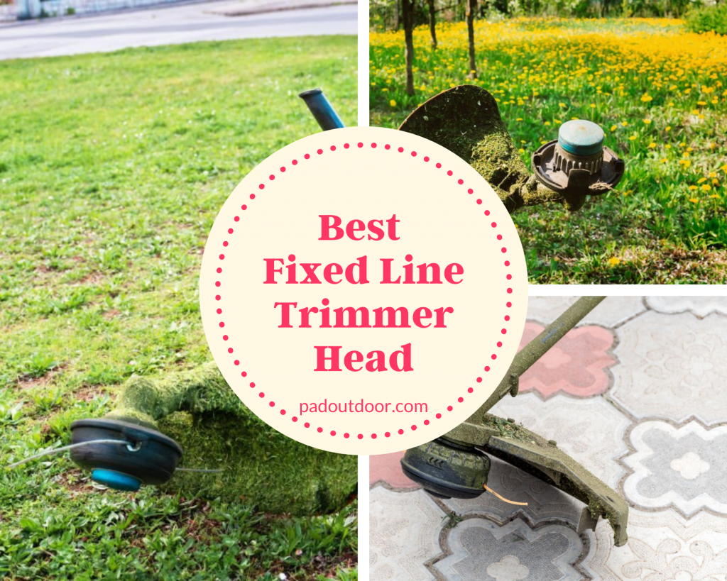 Best Fixed Line Trimmer Head