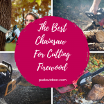 How To Choose The Best Chainsaw For Cutting Firewood?