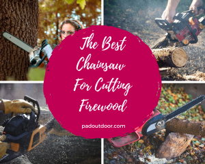 The Best Chainsaw For Cutting Firewood