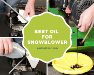 Best Oil For Snowblower